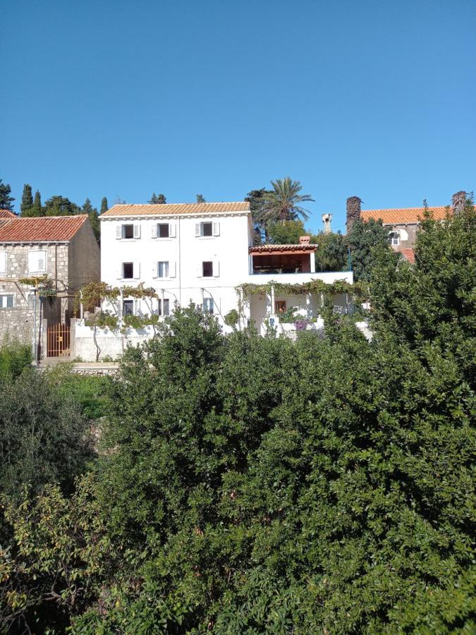 Villa Sea Dream Kolocep Gornje Celo Экстерьер фото