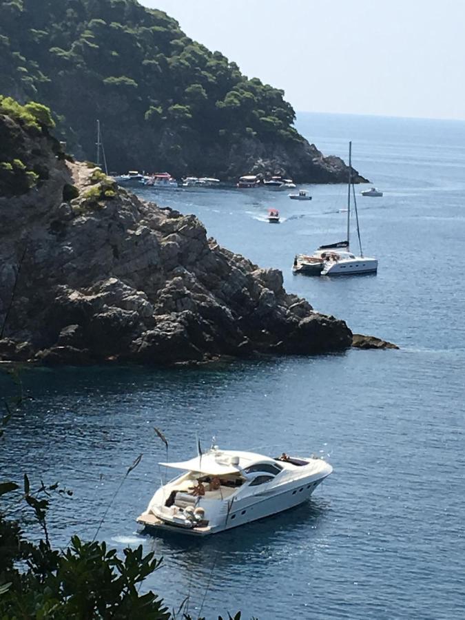 Villa Sea Dream Kolocep Gornje Celo Экстерьер фото