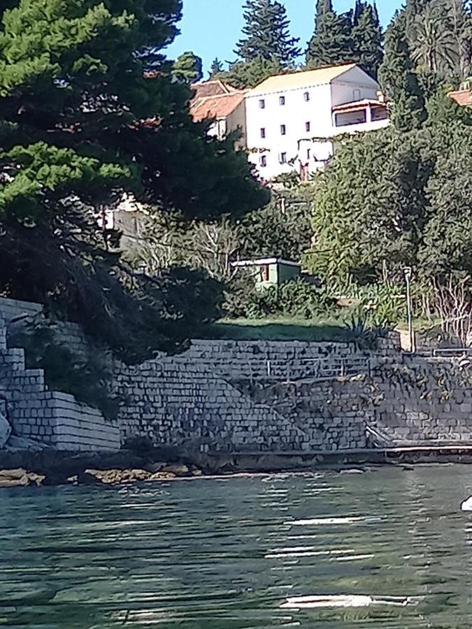 Villa Sea Dream Kolocep Gornje Celo Экстерьер фото